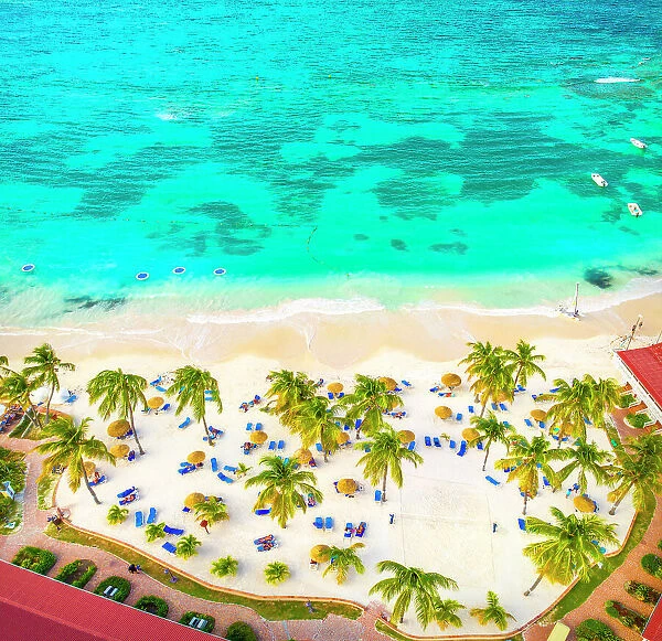 Palm-fringed beach from above, Caribbean Sea