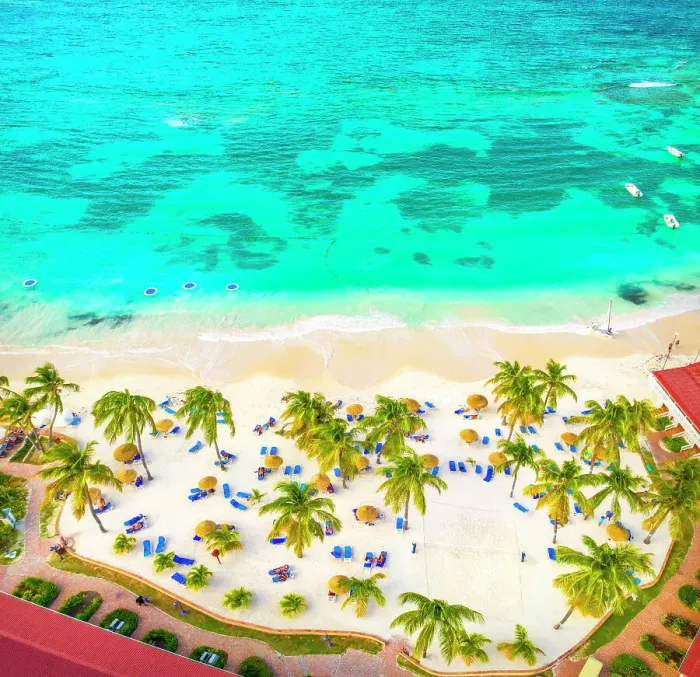 Framed Print : Palm-fringed beach from above, Caribbean Sea Framed Print : Palm-fringed beach from above, Caribbean Sea