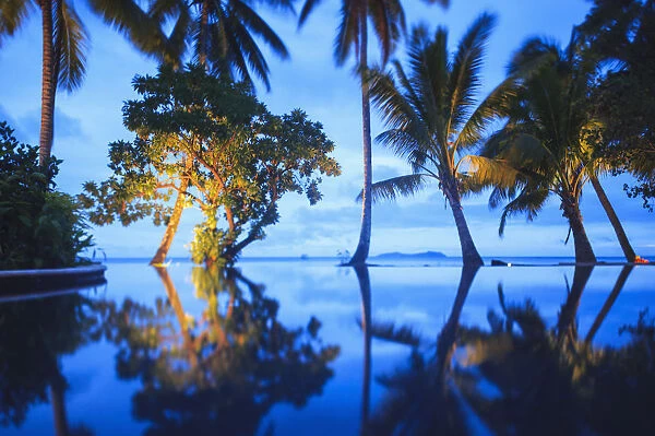 Palm trees reflected in still lake