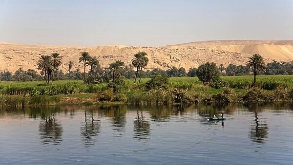 Palm trees reflected in the Nile, Egypt, Africa