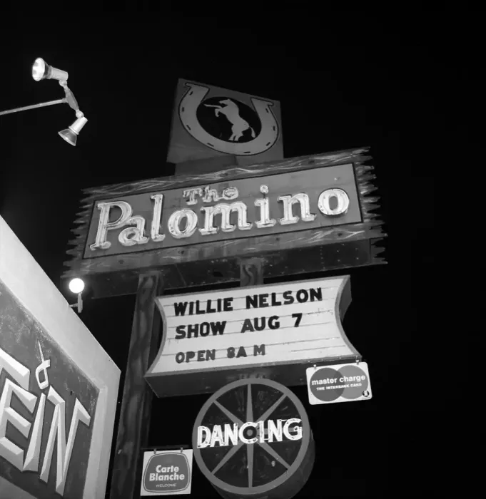 Framed Print : The Palomino Framed Print : The Palomino