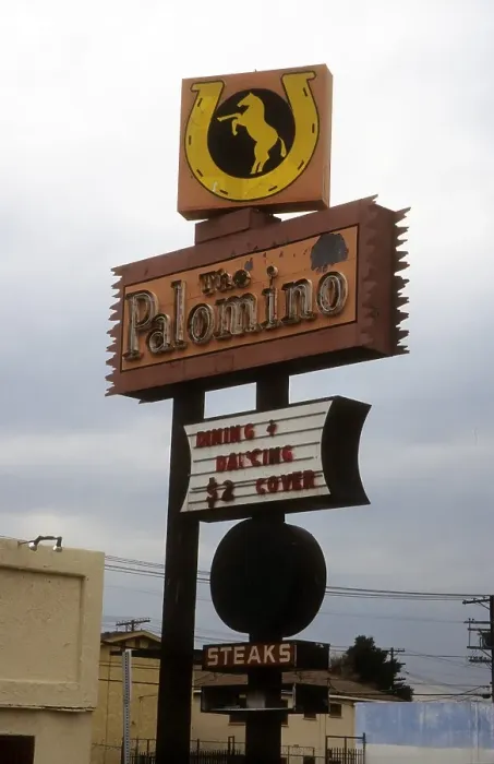 Framed Print : The Palomino Framed Print : The Palomino