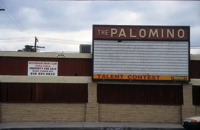 Framed Print : The Palomino Framed Print : The Palomino