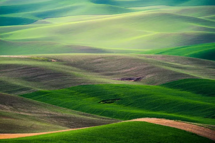 Framed Print : Palouse hill Framed Print : Palouse hill