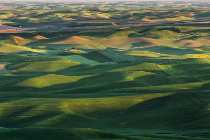 Framed Print : Palouse hills at sunset, Washington State, USA Framed Print : Palouse hills at sunset, Washington State, USA