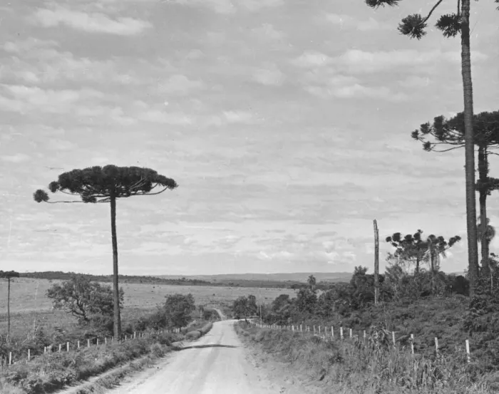 Framed Print : Pan American Highway Framed Print : Pan American Highway