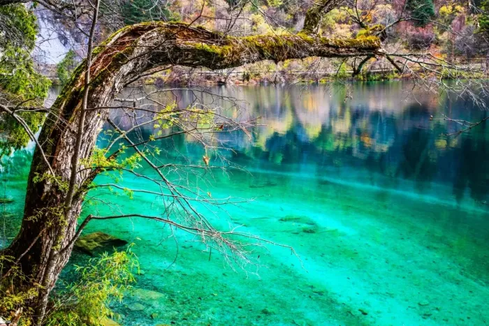 Framed Print : Panda Lake, Jiuzhaigou National Park, China Framed Print : Panda Lake, Jiuzhaigou National Park, China