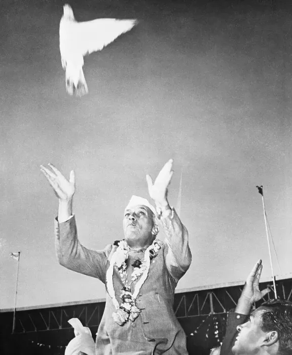 Framed Print : Pandit Nehru Releasing a White Pigeon Framed Print : Pandit Nehru Releasing a White Pigeon