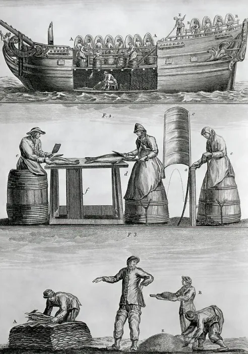 Framed Print : Three Panels Of Fish Industry In 1770 Framed Print : Three Panels Of Fish Industry In 1770