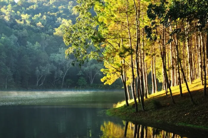 Framed Print : Pang Ung in the morning, Maehongson Framed Print : Pang Ung in the morning, Maehongson