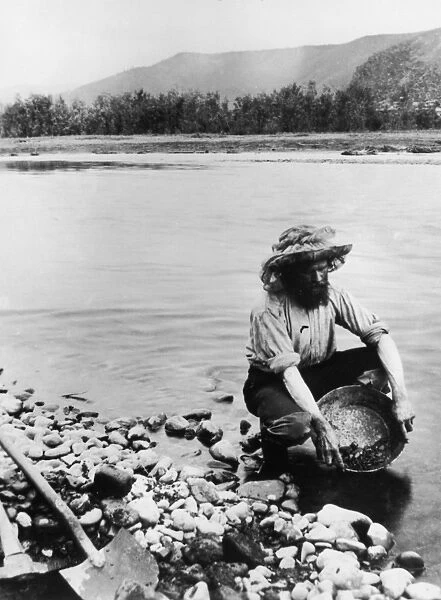 Panning For Gold. A gold prospector panning for alluvial gold in the Klondike