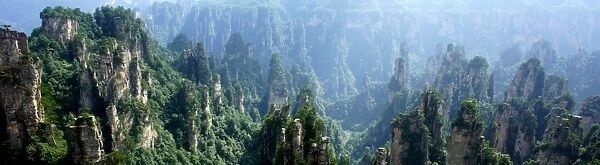 Panorama. Zhangjiajie National Park The stunning stone forest landscape