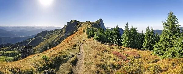Panorama at the Brauneck trail with the Vorderer Kirchstein, Brauneck, Lenggries, Upper Bavaria, Bavaria, Germany