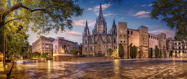 Panorama of Cathedral of Barcelona