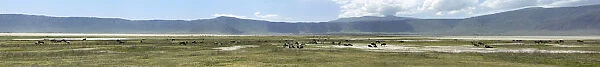 Panorama, Ngorongoro Crater, Ngorongoro Conservation Area, Tanzania, Africa