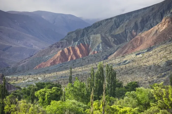 Framed Print : Panoramic, lush vegetation at the Purmamarca river, behind Cerro de los Siete Colores or Hill of Seven Colors in Purmamarca, Jujuy Province, Argentina Framed Print : Panoramic, lush vegetation at the Purmamarca river, behind Cerro de los Siete Colores or Hill of Seven Colors in Purmamarca, Jujuy Province, Argentina