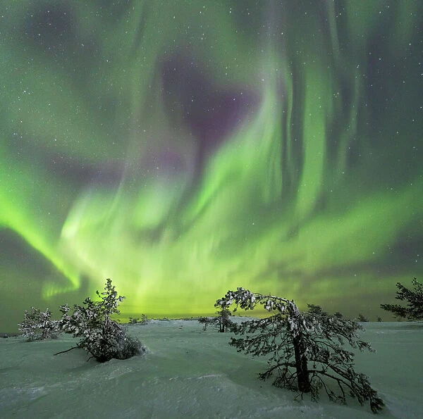 Panoramic of Northern lights KittilAÔé¼ Lapland Finland