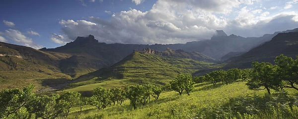 Panoramic view of the Amphitheatre range in the Drakensberg mountains, Drakensberg uKhahlamba National Park, Kwazulu-Natal-South Africa