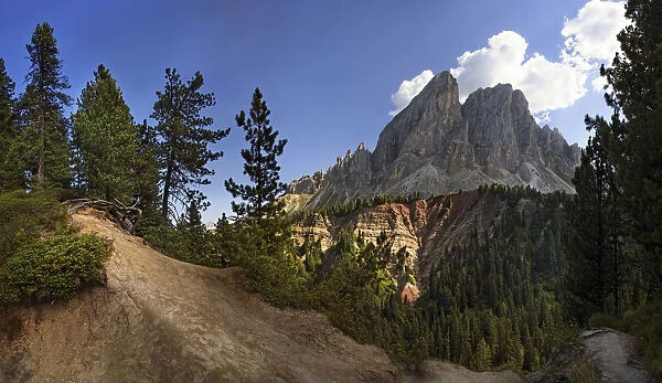 Panoramic view at Mt Peitlerkofel, Sasso delle Putia, with mountain forest and trail at Wuerzjoch, Passo delle Erbe, Villnoess, Funes, Dolomites, South Tyrol, Italy, Europe