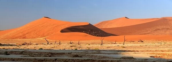Panoramic view of Namib Desert Africa