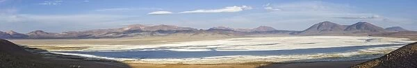 Panoramic view of the salt lake Salar del Huasco, Pica, Tarapaca Region, Chile
