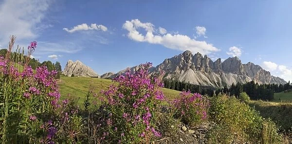Panoramic view as seen from the Wuerzjoch ridge with the Aferer Geisler Mountains and Peitlerkofel mountain at the back, Villnoesstal valley, province of Bolzano-Bozen, Italy, Europe