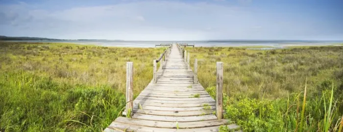 Framed Print : Panoramic view of wooden jetty leading towards lake, Catalina Bay, iSimangaliso Wetland Park, St Lucia, Kwazulu-Natal, South Africa Framed Print : Panoramic view of wooden jetty leading towards lake, Catalina Bay, iSimangaliso Wetland Park, St Lucia, Kwazulu-Natal, South Africa