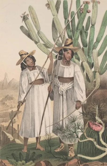 Framed Print : Papagos. circa 1800: Two Papago women carrying a bow Framed Print : Papagos. circa 1800: Two Papago women carrying a bow