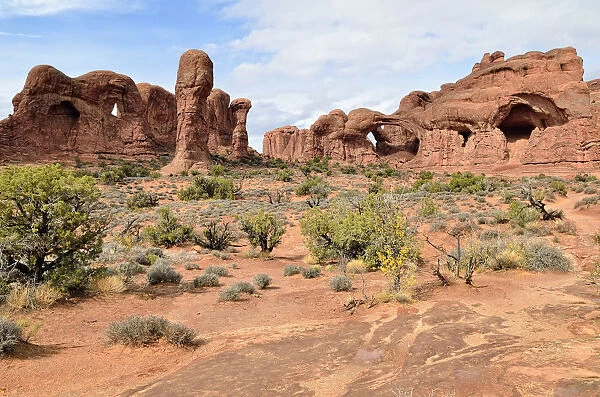 Parade of Elephants and the Double Arch, red sandstone formations, Arches National Park, Moab, Utah, USA