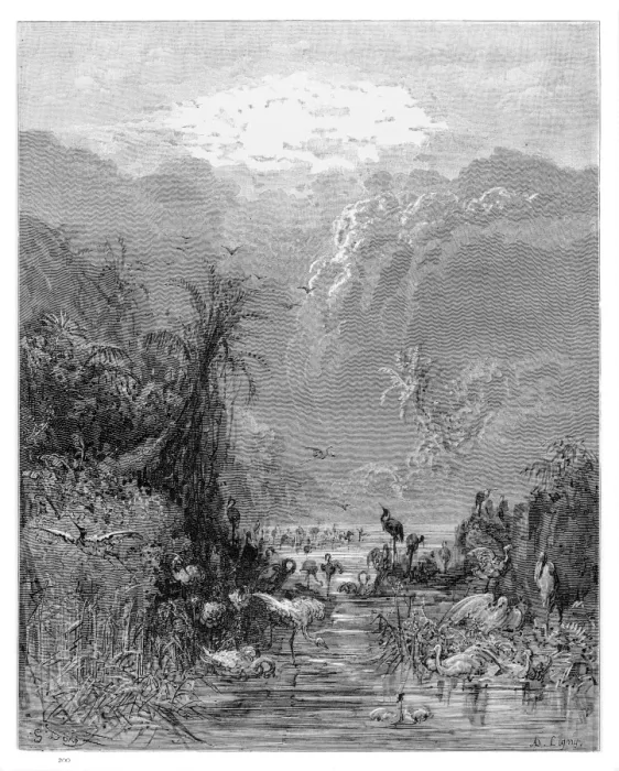 Framed Print : Paradise engraving 1885