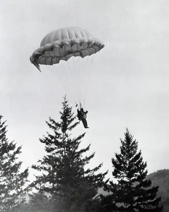Framed Print : Paratrooper of the Forest Front Framed Print : Paratrooper of the Forest Front