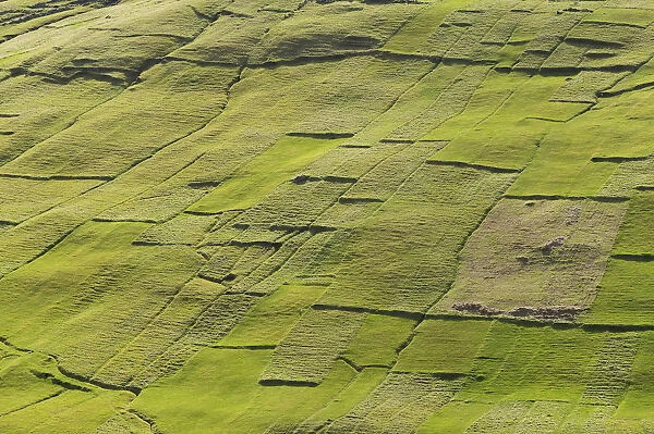 Parcels of land, fields, patchwork, Kvivik, Streymoy, Faroe Islands, Denmark