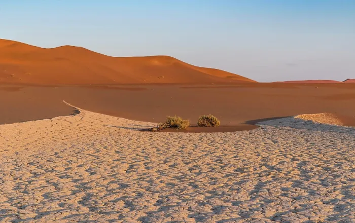 Framed Print : Parched ground in front of sand dunes Framed Print : Parched ground in front of sand dunes