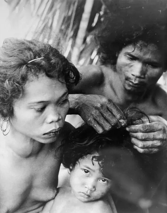 Framed Print : Parents Picking Lice Framed Print : Parents Picking Lice