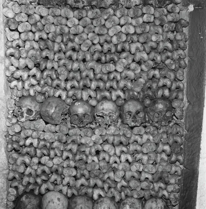Framed Print : Paris Catacombs Framed Print : Paris Catacombs