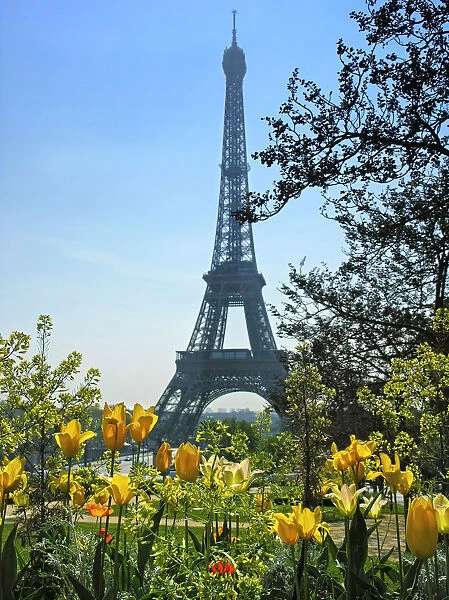 Paris - the Eiffel tower in the spring