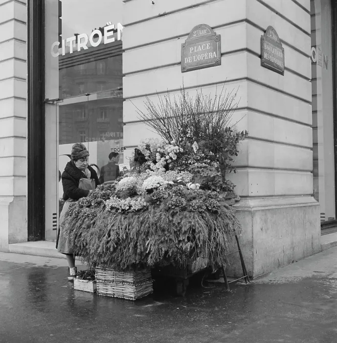 Framed Print : Paris Flower Seller Framed Print : Paris Flower Seller
