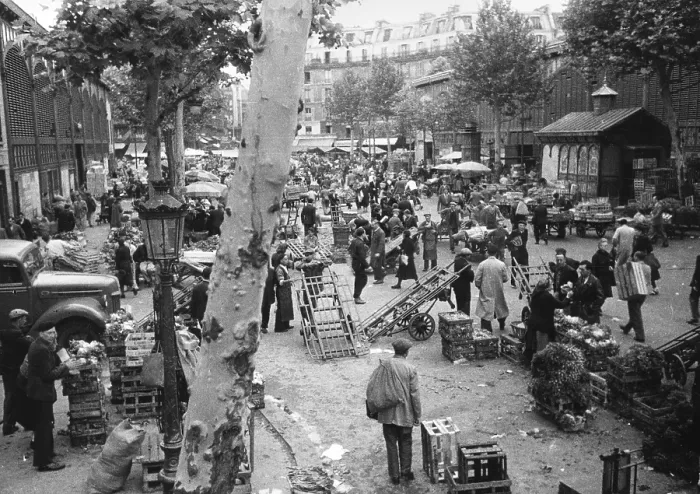 Framed Print : Paris Market Framed Print : Paris Market