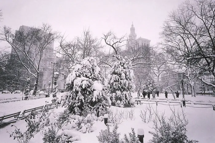 Framed Print : Park covered in snow Framed Print : Park covered in snow