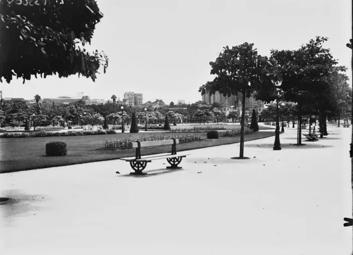 Framed Print : Park In Rio Framed Print : Park In Rio