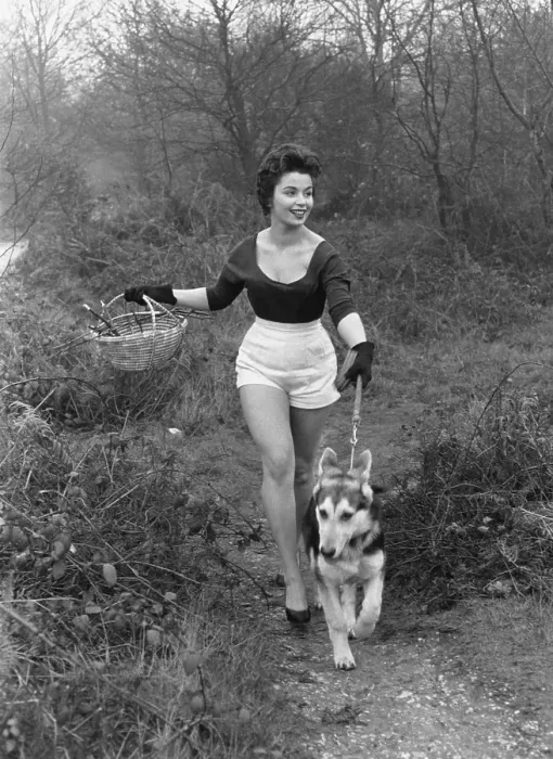 Framed Print : Park Walk. January 1956: Model Marilyn Ridge walking her dog in Streatham Park, London Framed Print : Park Walk. January 1956: Model Marilyn Ridge walking her dog in Streatham Park, London