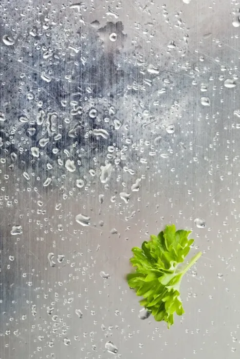 Framed Print : Parsley