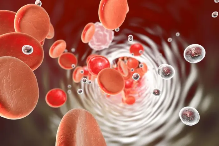 Framed Print : Particles in blood vessel, illustration Framed Print : Particles in blood vessel, illustration