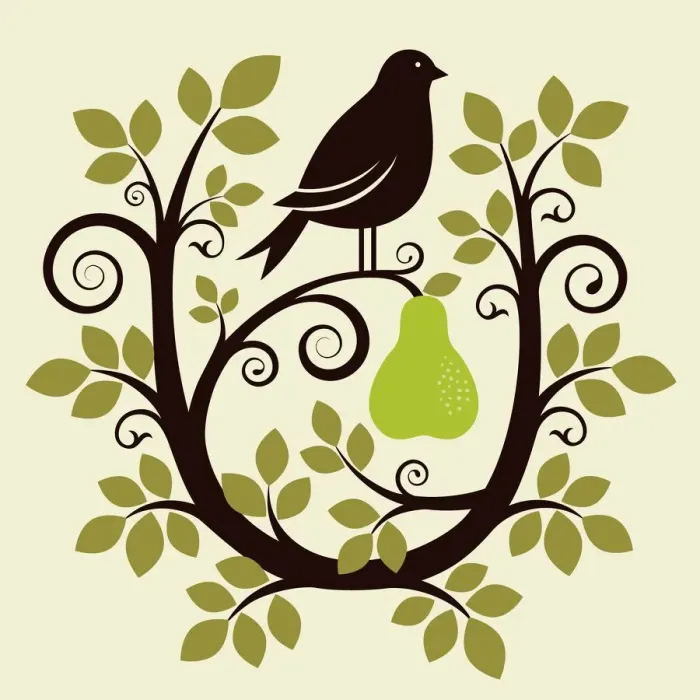Framed Print : Partridge in a Pear Tree Framed Print : Partridge in a Pear Tree