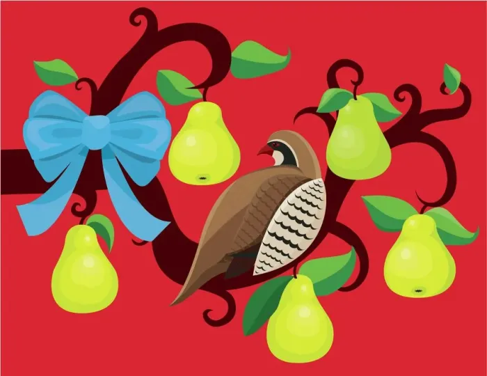Framed Print : Partridge in a Pear Tree Framed Print : Partridge in a Pear Tree