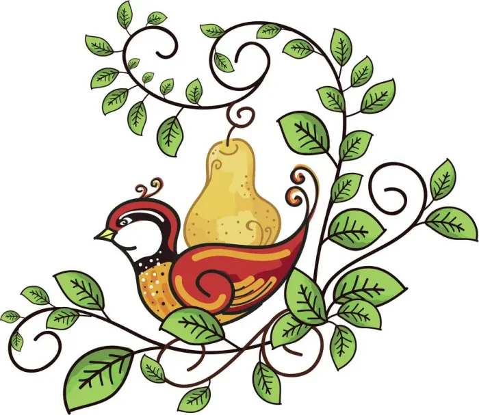 Framed Print : Partridge in a Pear Tree Framed Print : Partridge in a Pear Tree