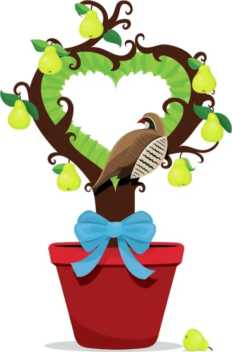 Framed Print : Partridge in a Pear Tree Framed Print : Partridge in a Pear Tree