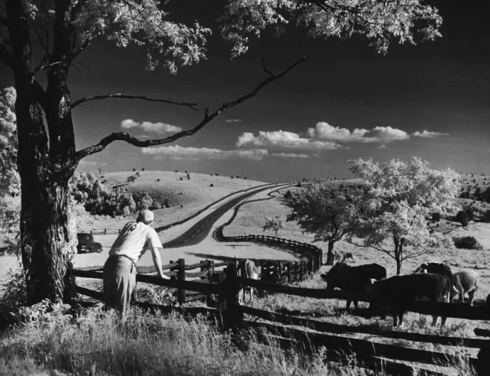 Framed Print : Pastoral View