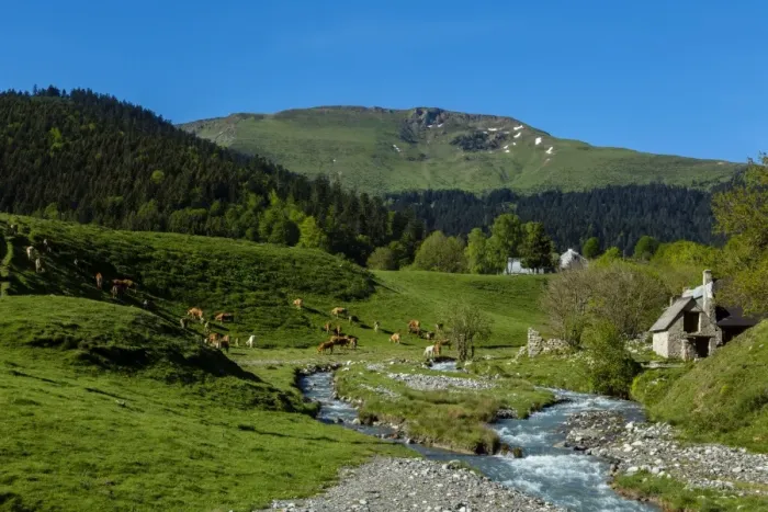 Framed Print : Pasture near the col d Aspin, Hautes Pyrenees, France Framed Print : Pasture near the col d Aspin, Hautes Pyrenees, France