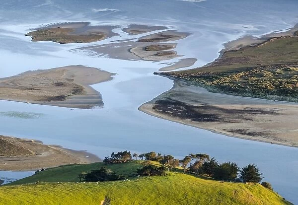 Pasture in front of tidal inlet, Hoopers Inlet, Otago Region, South Island, New Zealand
